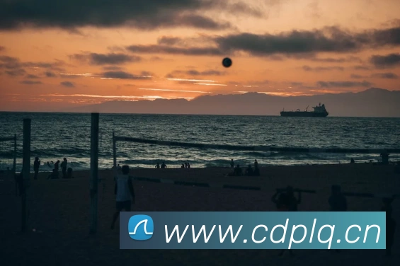 ayx爱游官方网站服务体系